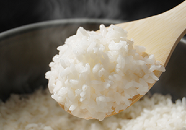 世界で栽培されるお米の特徴とは？サムネイル